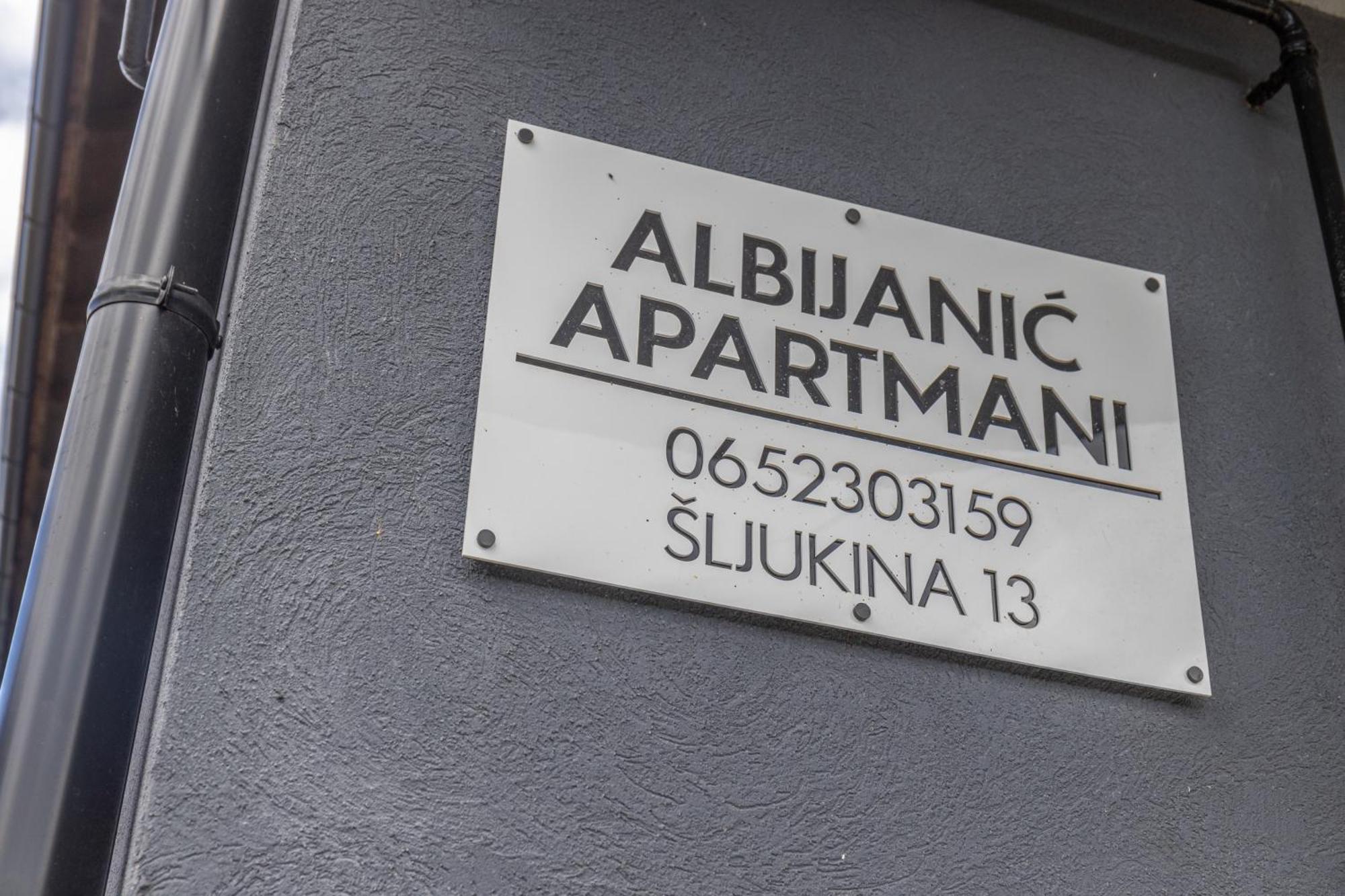Apartman Albijanic Apartment Sremska Kamenica Exterior photo